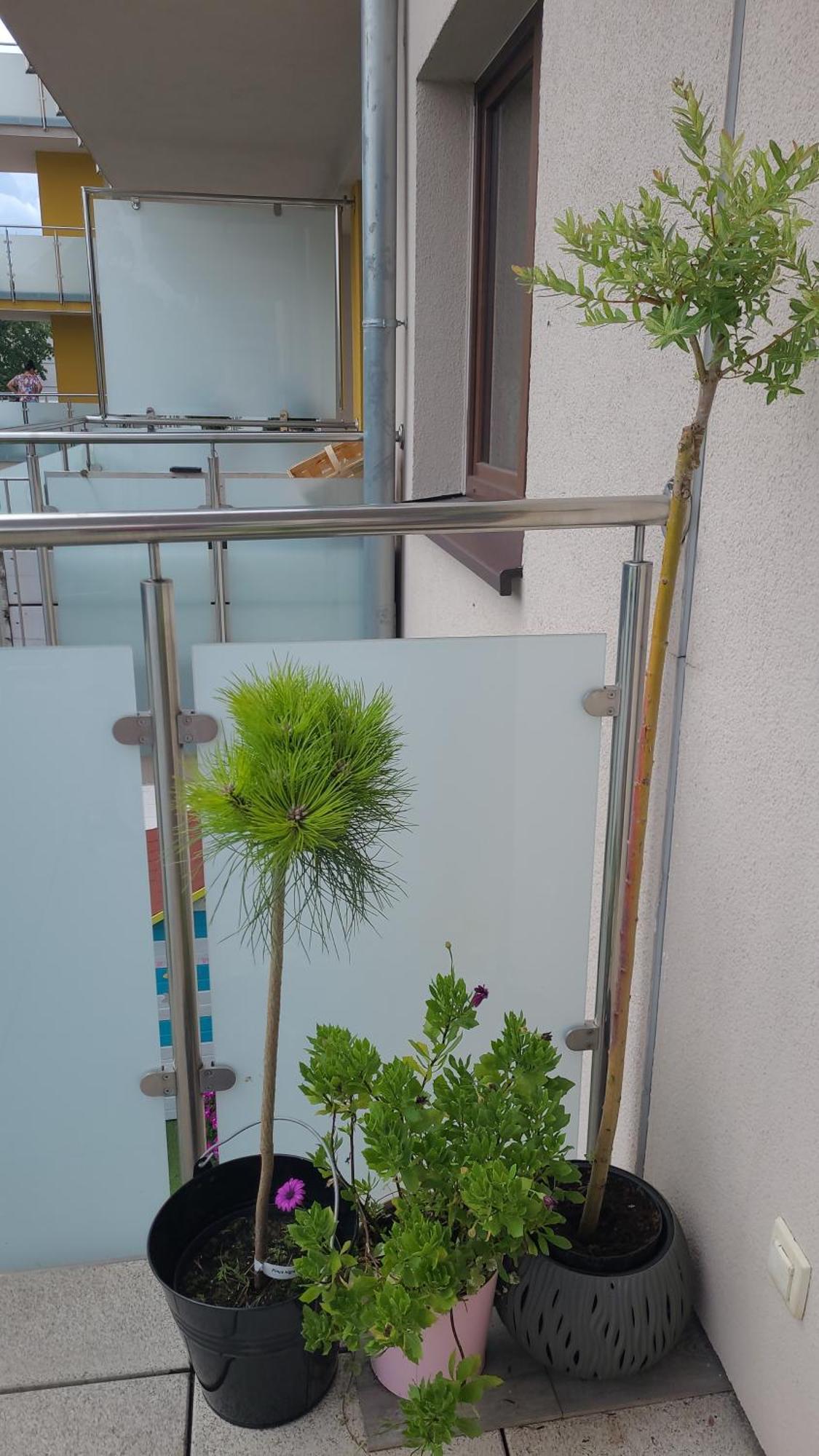 Apartament Lilla Jelenia Gora Ngoại thất bức ảnh